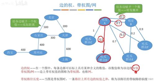 圖數(shù)據(jù)結(jié)構(gòu)學(xué)習(xí)指南 從基礎(chǔ)概念到軟件技術(shù)服務(wù)應(yīng)用